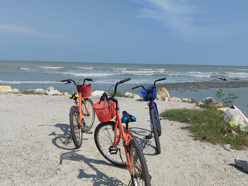 George Town: Balik Pulau Countryside Morning Cycling Tour - Farms, fruit, animals, and the best stops