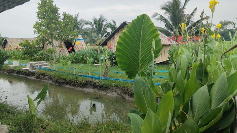 George Town: Balik Pulau Countryside Morning Cycling Tour - The container art and photo stops