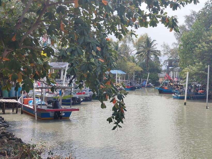 George Town: Balik Pulau Countryside Morning Cycling Tour - How difficult is the cycling?