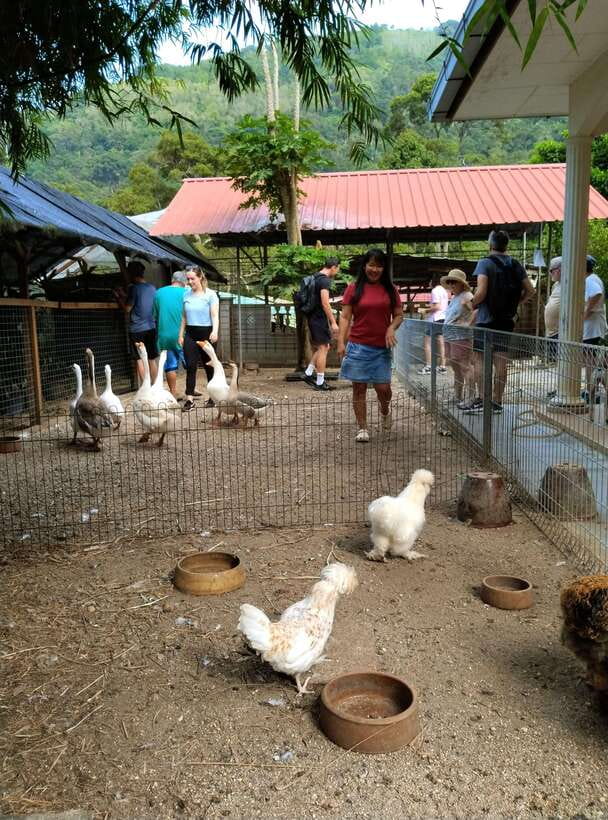 George Town, Penang: Malay Countryside Cycling - Why This Ride Is Worth Your Morning