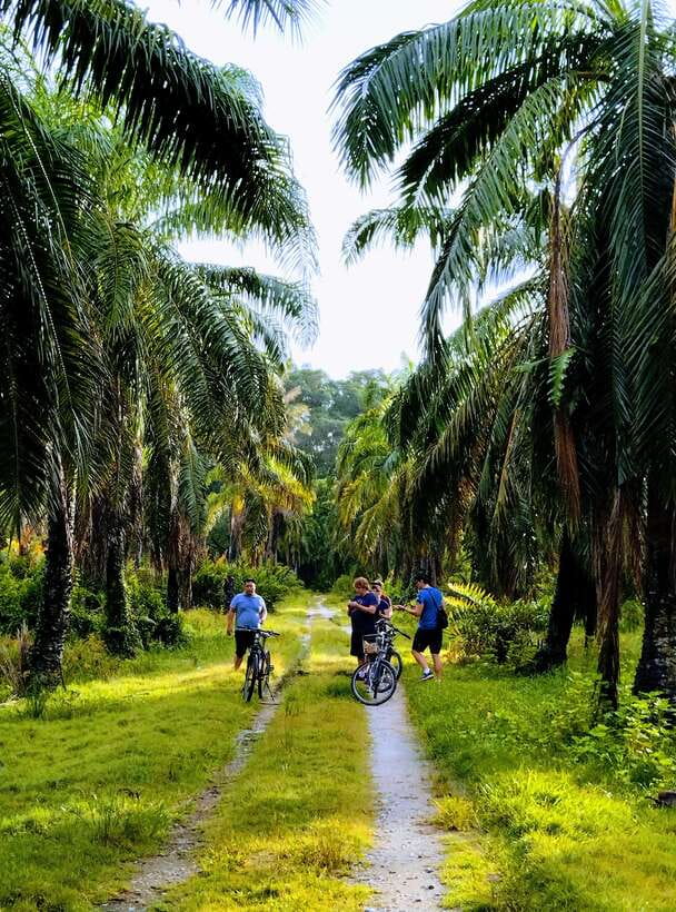 George Town, Penang: Malay Countryside Cycling - Plantation Roads, Fruit Orchards, and Canal Paths