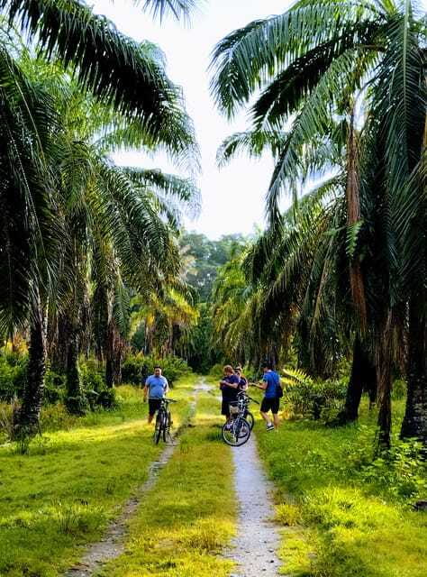 George Town, Penang: Malay Countryside Cycling - The Goat Farm and Its Animal Encounters