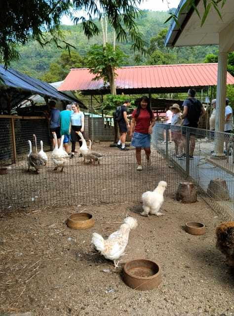George Town, Penang: Malay Countryside Cycling - Small Groups, Guides, and Practical Comfort