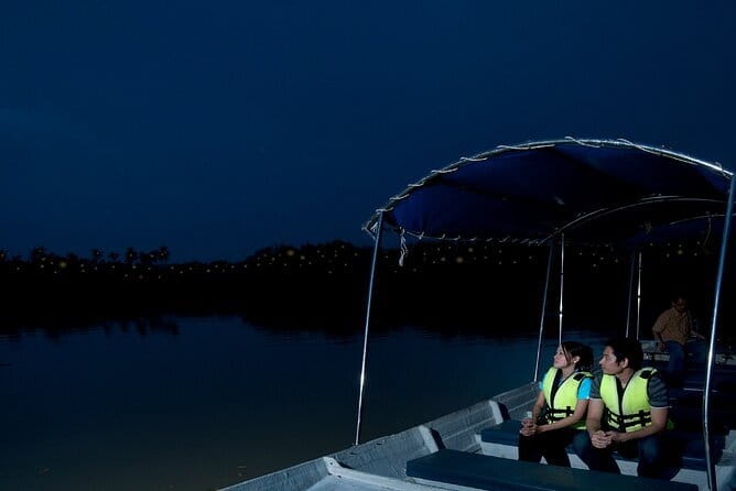 Group Tour: Kuala Selangor Firefly Blinking's including Dinner - Leaving Kuala Lumpur in an Air-Conditioned Vehicle