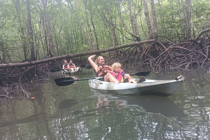 Half-day 4 Hours Kilim Mangrove Kayaking (Without hotel pickups) - Key points at a glance