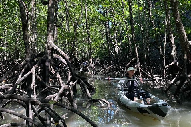 Half-Day Geopark Mangrove Kayaking Adventure - Paddling from the fish farm into the mangroves