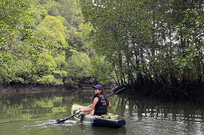 Half-Day Geopark Mangrove Kayaking Adventure - Eagles, limestone, and the first nature talk