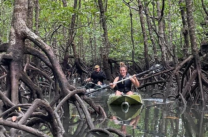 Half-Day Geopark Mangrove Kayaking Adventure - What the guide adds to the day