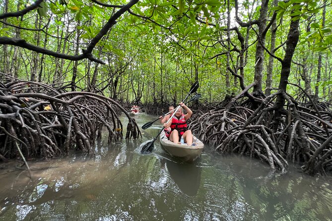 Half-Day Mangrove Kayaking in Langkawi - Why Langkawi’s mangroves make a good half-day outing
