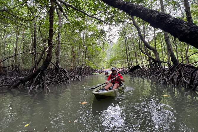 Half-Day Mangrove Kayaking in Langkawi - The 10:30am briefing and what you receive
