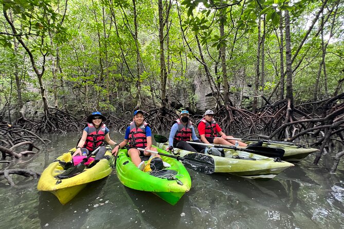 Half-Day Mangrove Kayaking in Langkawi - Free photos are a real benefit