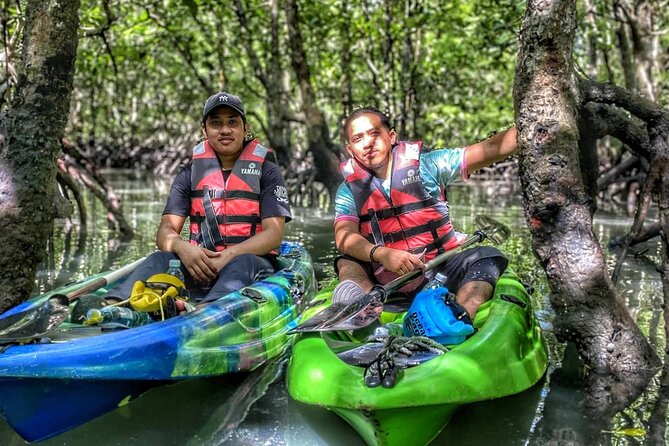 Half-Day Mangrove Kayaking in Langkawi - Meeting at Kilim River Tourism Jetty at 10am