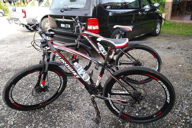 Half-Day Penang Countryside Cycling Tour - Who should book this ride?