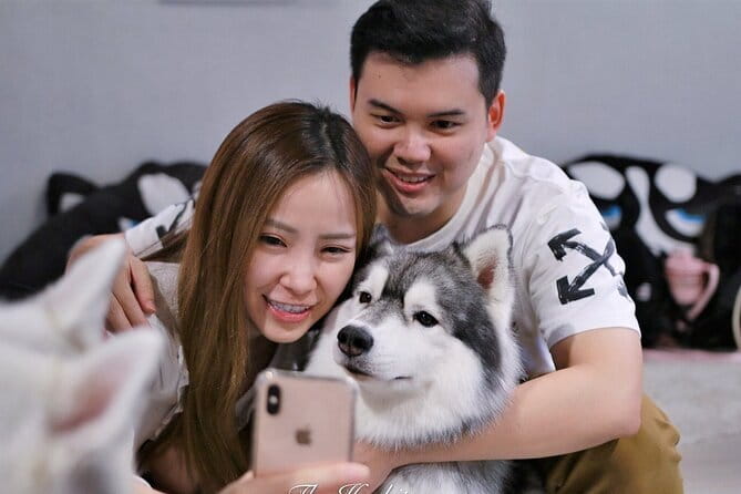 Huskitory Connecting People and Dogs - What the Huskitory name tells you