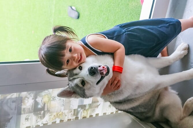 Huskitory Connecting People and Dogs - Photographs, treats, and what you receive