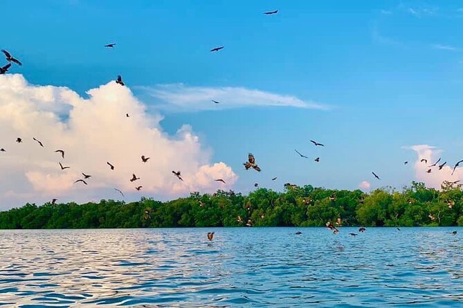 Instagrammable Kuala Selangor Sky Mirror Tour with Transfer - Sri Shakti Temple’s detailed stonework