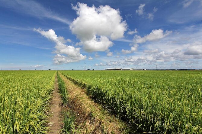 Instagrammable Kuala Selangor Sky Mirror Tour with Transfer - Is $90 a fair price?