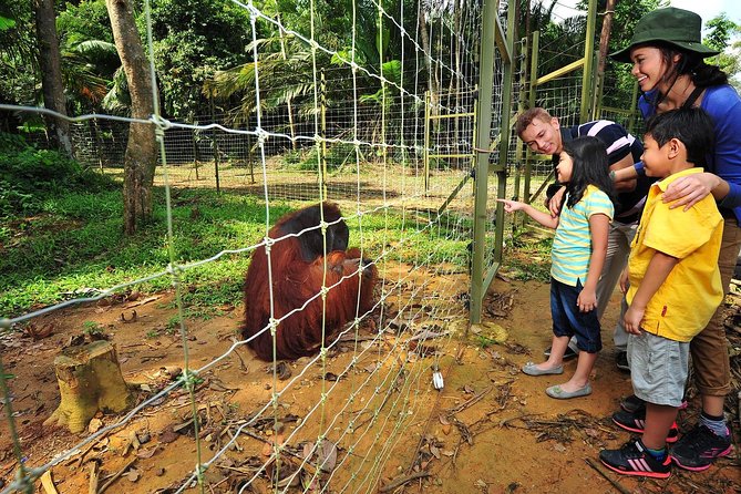 Ipoh Private Day Trip from Kuala Lumpur with Lunch - Orang Utan Island begins the day with a boat ride