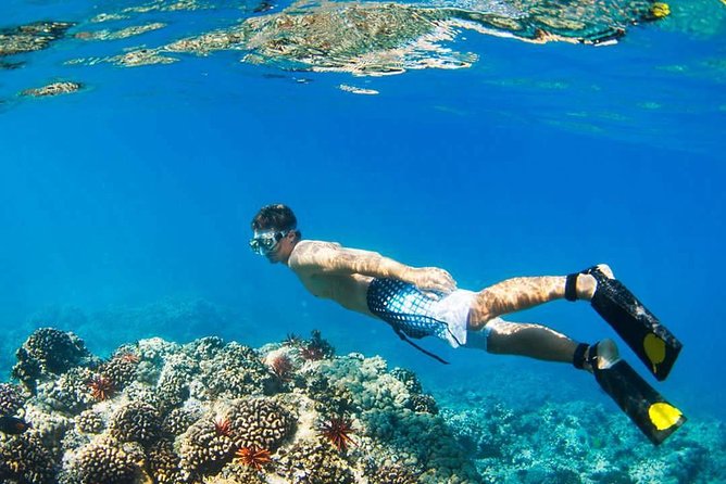 Island Hopping Tour (2 Island) From Kota Kinabalu - Who will enjoy this island tour?