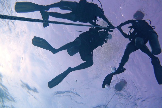 Join us for a RAID Try Dive in Kota Kinabalu - Lunch and the Second Boat-Based Session