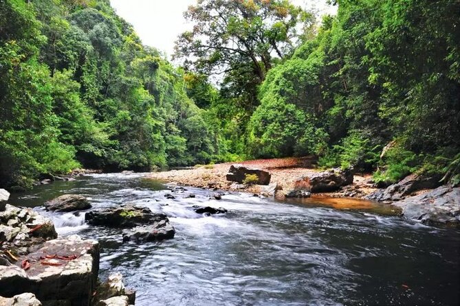 Jungle Odyssey: Unleash Your Adventure in Taman Negara! - Who will enjoy this day most