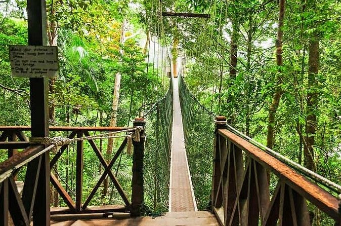 Jungle Odyssey: Unleash Your Adventure in Taman Negara! - Simple booking and cancellation advice