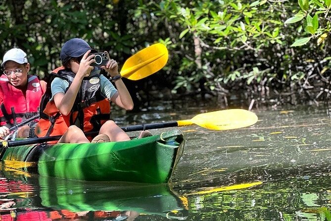Kayaking Kilim Mangrove Geoforest - Is $80 per person good value?