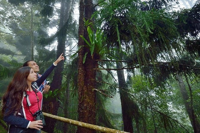 Kinabalu National Park Tour - Why this day trip works
