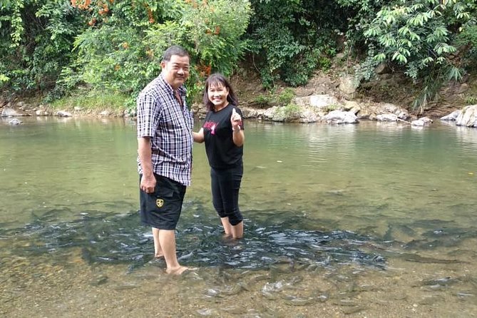 Kinabalu Park Day Trip - Key points before you book