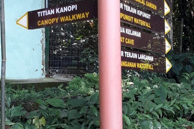 Kinabalu Park Day Trip - Canopy Walk and Kipungit Waterfall