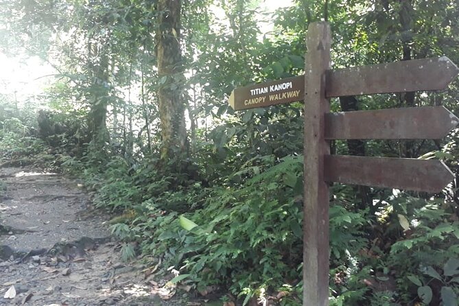 Kinabalu Park Day Trip - Lunch keeps the day simple