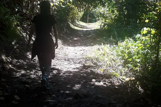 Kinabalu Park Day Trip - Private does not always mean fully guided