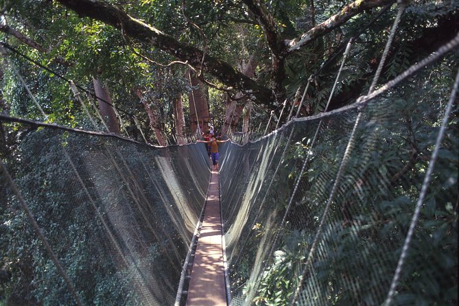 Kinabalu Park & Poring Hot Spring Tour - Desa Cattle Farm and the famous ice cream break