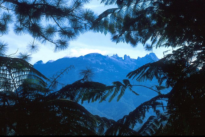 Kinabalu Park & Poring Hot Spring Tour - What the guide adds to the day