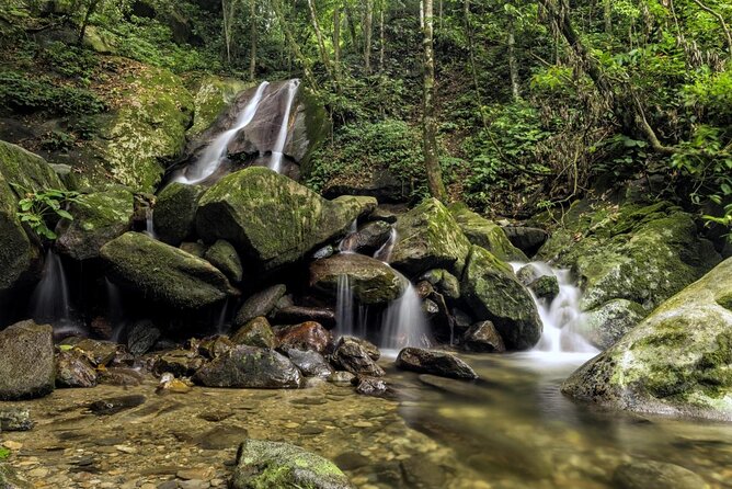 Kinabalu Park & Poring Hot Springs Tour with Desa Dairy Farm - Key Points Before You Book