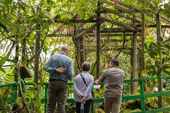 Kinabalu Park & Poring Hot Springs Tour with Desa Dairy Farm - Desa Dairy Farm and the Little New Zealand View