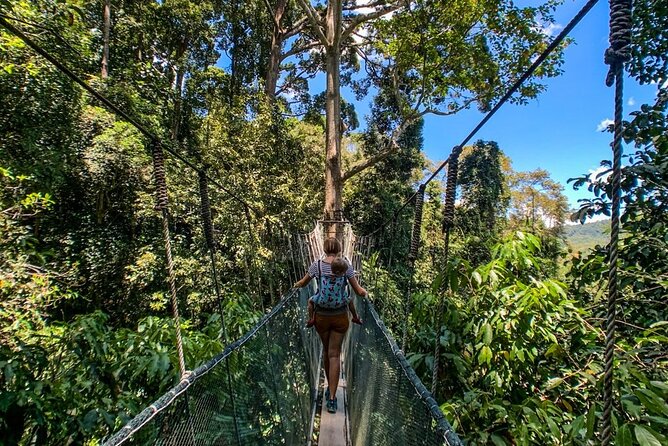 Kinabalu Park & Poring Hot Springs Tour with Desa Dairy Farm - What the USD 125.51 Price Really Includes