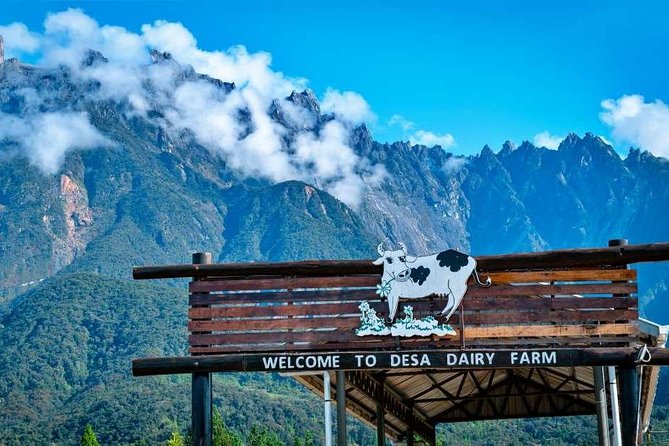 Kinabalu Park With Rumah Terbalik & Desa Cow Farm - Five things to know before you go