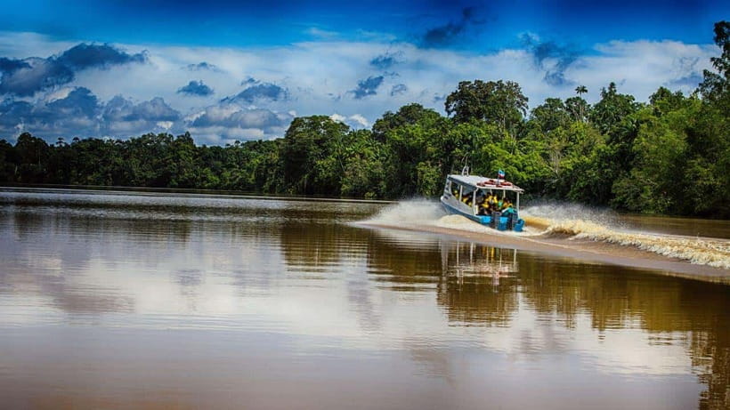 Kinabatangan River Trip from Sandakan with Lunch Included - Key points to know before booking