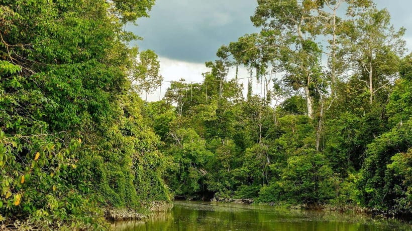 Kinabatangan River Trip from Sandakan with Lunch Included - The weather, gear, and comfort equation