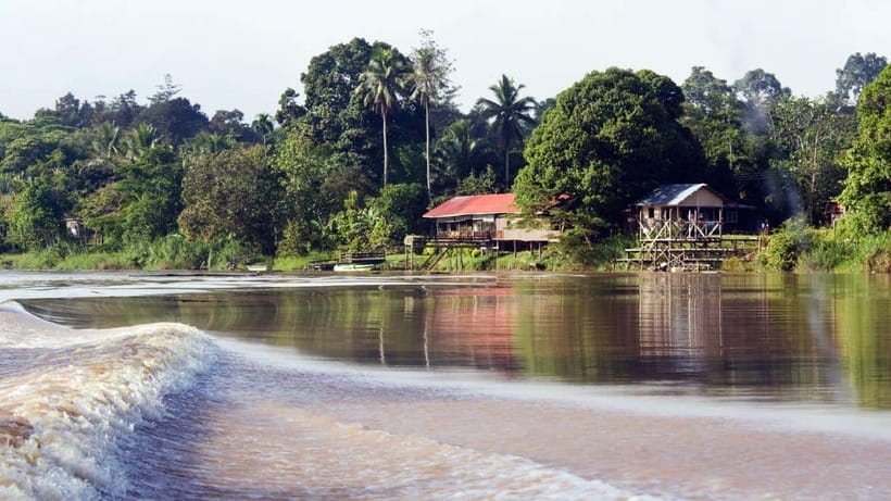 Kinabatangan River Trip from Sandakan with Lunch Included - Is $204 a fair price?