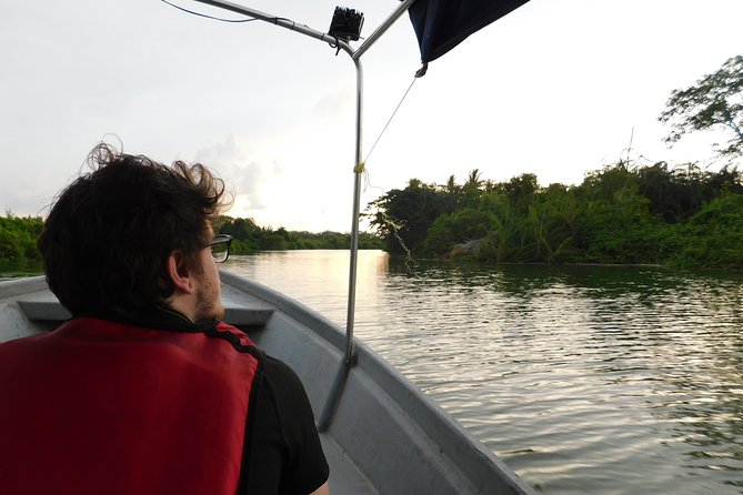 Klias Wildlife Safari River Cruise - Proboscis Monkey & Fireflies - From Kota Kinabalu to the Beaufort countryside