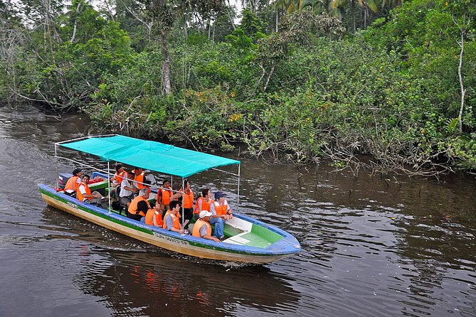 Klias Wildlife Safari River Cruise - Proboscis Monkey & Fireflies - An Asian buffet dinner at the lodge