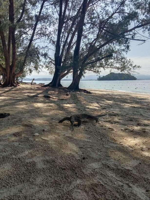 Kota Kinabalu: Manukan & Sapi Islands Snorkeling with Lunch - The morning pickup and ride to Jesselton Point
