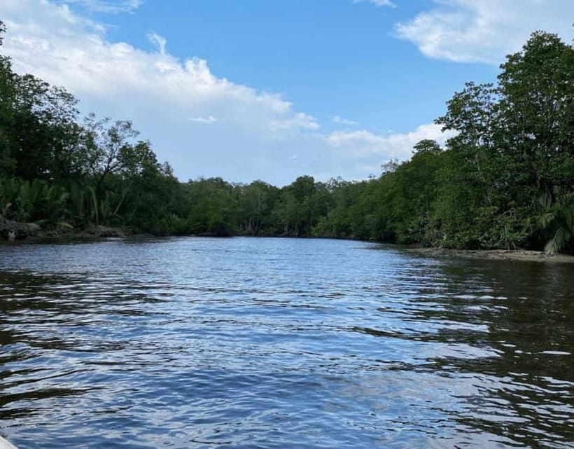Kota Kinabalu: Mari Mari Village & Bongawan Cruise Package - Bongawan River: look carefully for proboscis monkeys