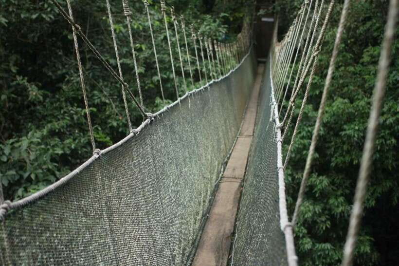 Kota Kinabalu: Private Kundasang and Poring Hot Spring Tour - Poring Hot Springs: relaxing, but not entirely included