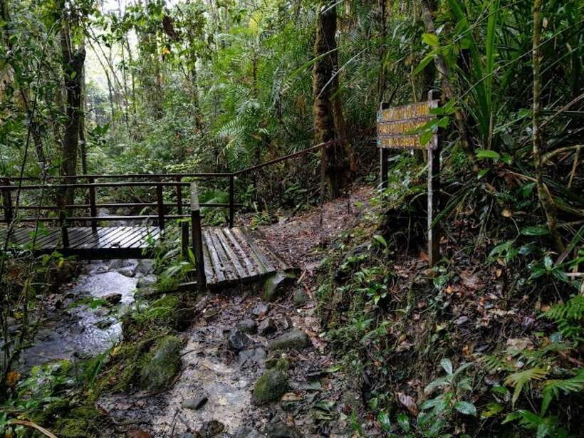Kota Kinabalu: Private Kundasang and Poring Hot Spring Tour - The guide matters more than the brochure