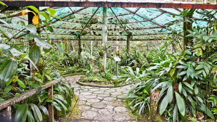 Kota Kinabalu: Private Kundasang and Poring Hot Spring Tour - Is $118 per person fair value?