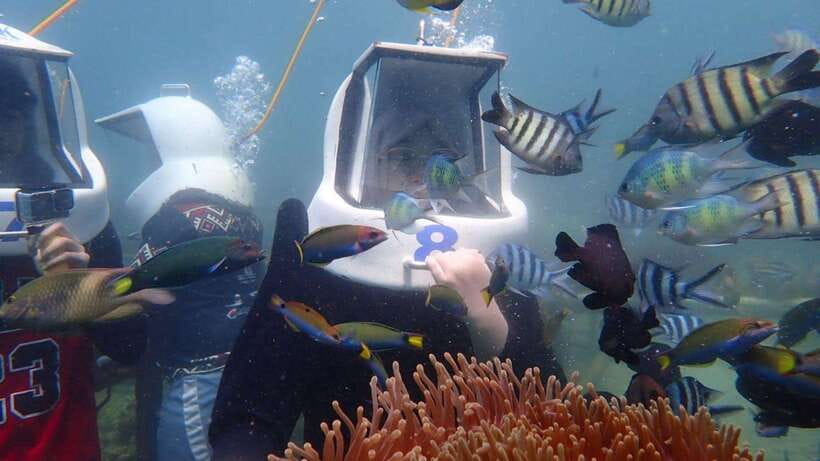 Kota Kinabalu: Snorkeling & Island Hopping Sapi & Manukan - Should You Book Sapi and Manukan?