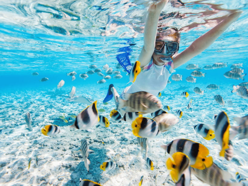 Kota Kinabalu | Snorkeling Sapi Island/Manukan Island - Snorkeling over coral and clear water